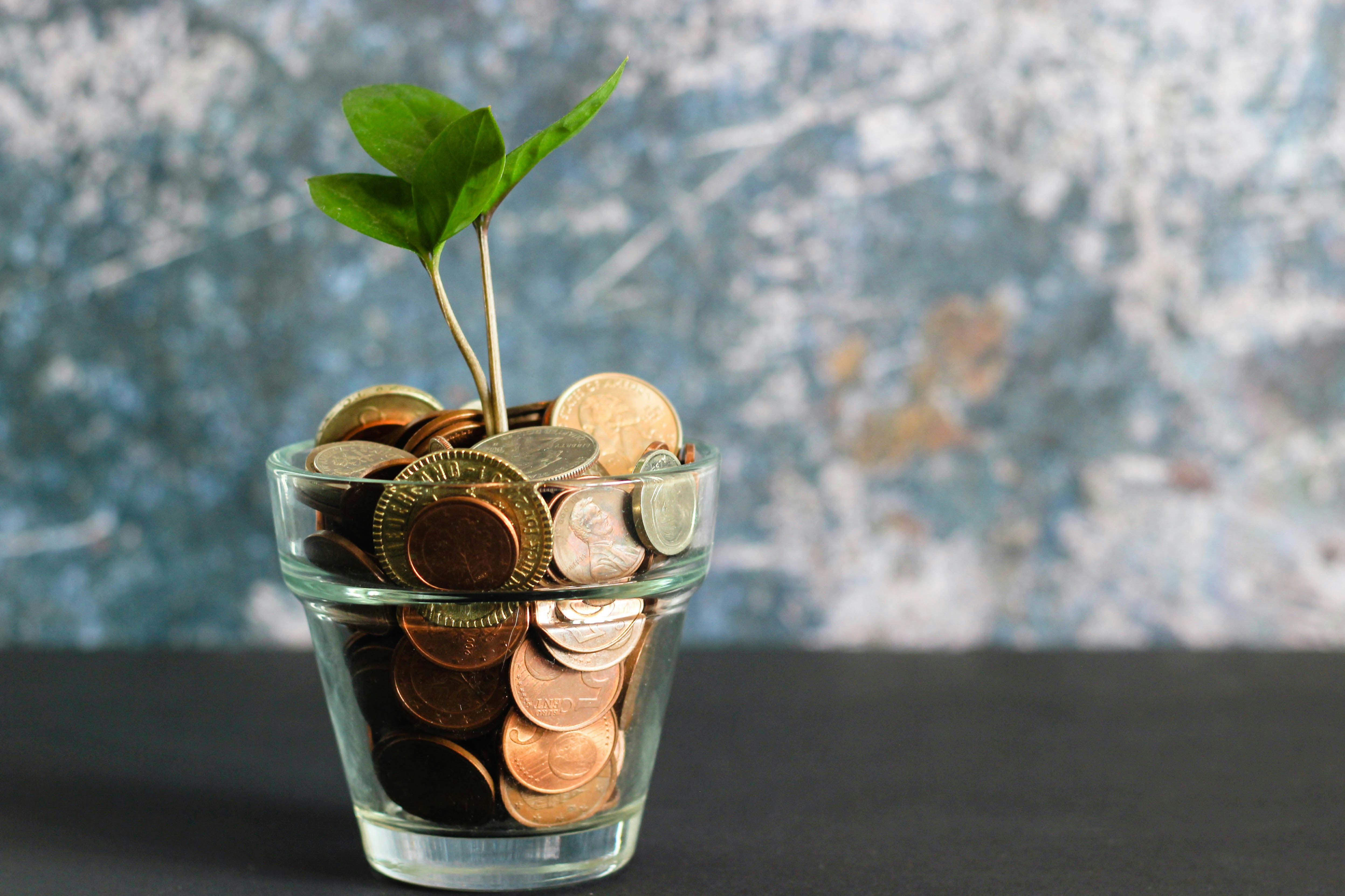 Taller de Finanzas para Emprendedores